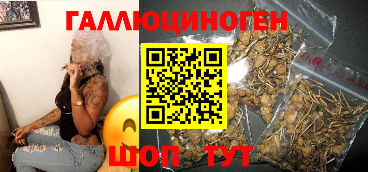 Псилоцибиновые грибы ЛСД Печора