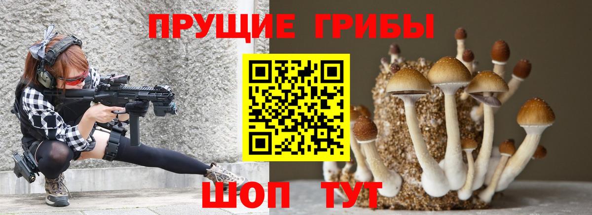 Печора  Галлюциногенные грибы мухоморы  Псилоцибиновые грибы MAGIC MUSHROOMS  Вход с VPN 
